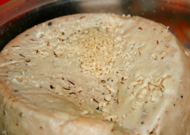 queso podrido Italia cerdeña Casu Marzu ilegal 7.jpg