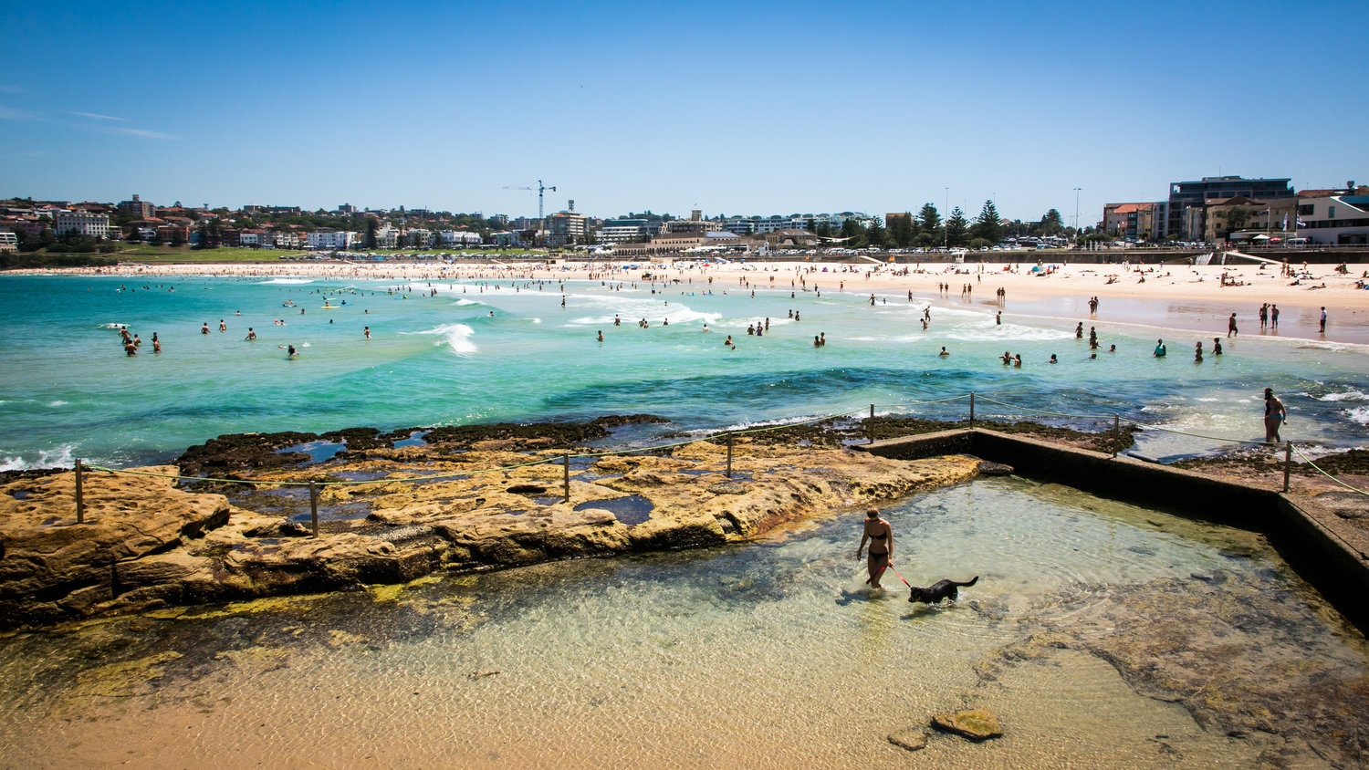 011_portfolio_lifestyle_Bondi_Beach_Generics_credit_Anna_Kucera_015.jpg