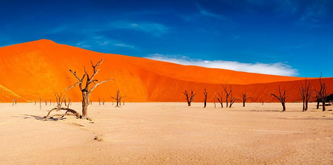 Namibia el HOT SPOT que debes conocer.