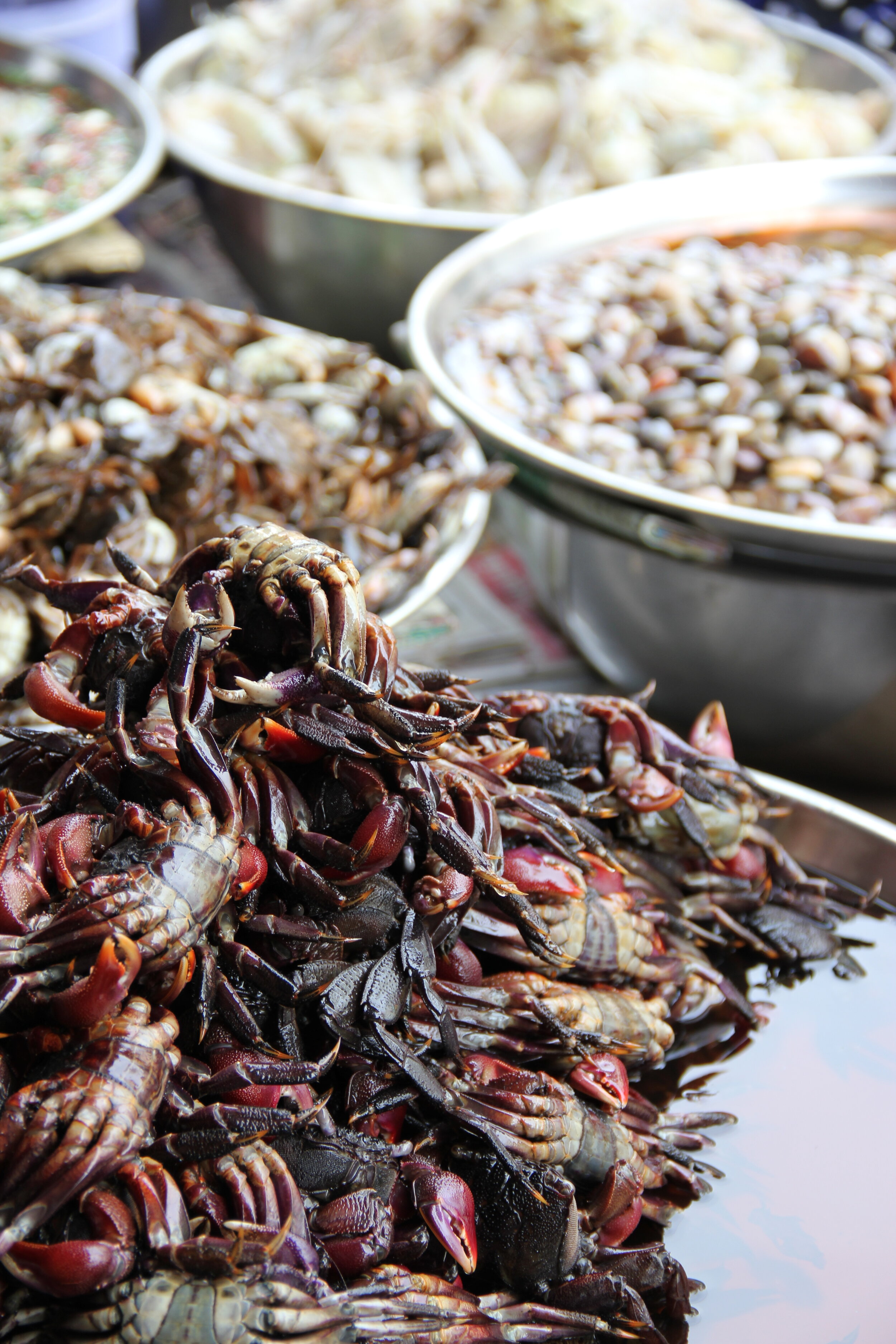 Bangkok - Fresh seafood on the streets of Chinatown.JPG