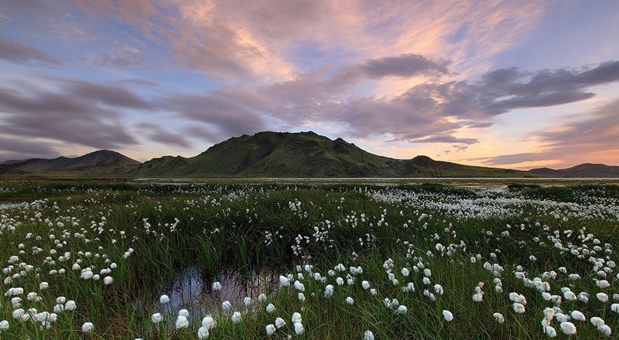 el-primer-dia-de-verano-una-fiesta-unica-en-islandia-1.jpg