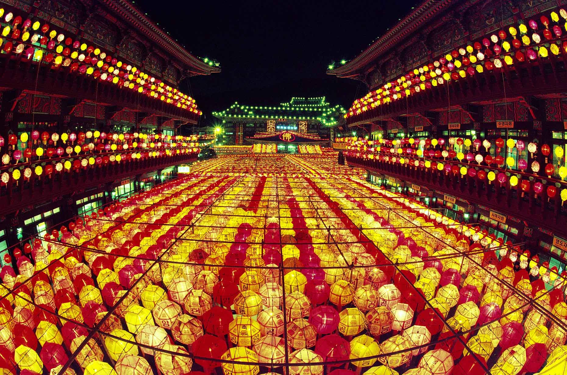 buddha_bday_ibook2010_web.jpg