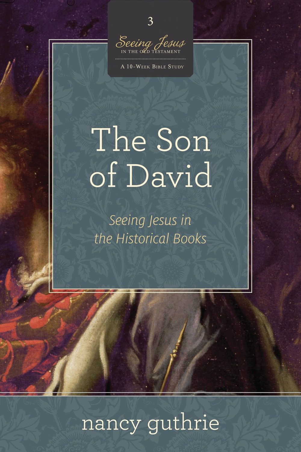 the-son-of-david-a-10-week-bible-study.jpg