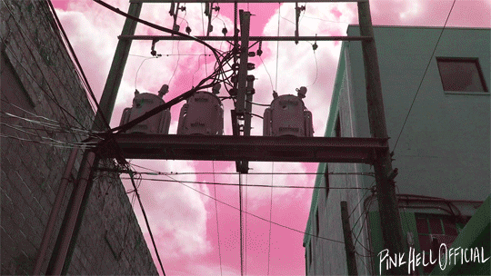 View the full video here.