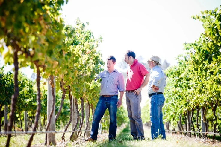 Trio inspecting vineyard 7940.jpeg