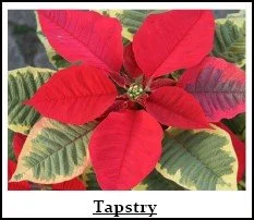 Tapestry 4.jpg