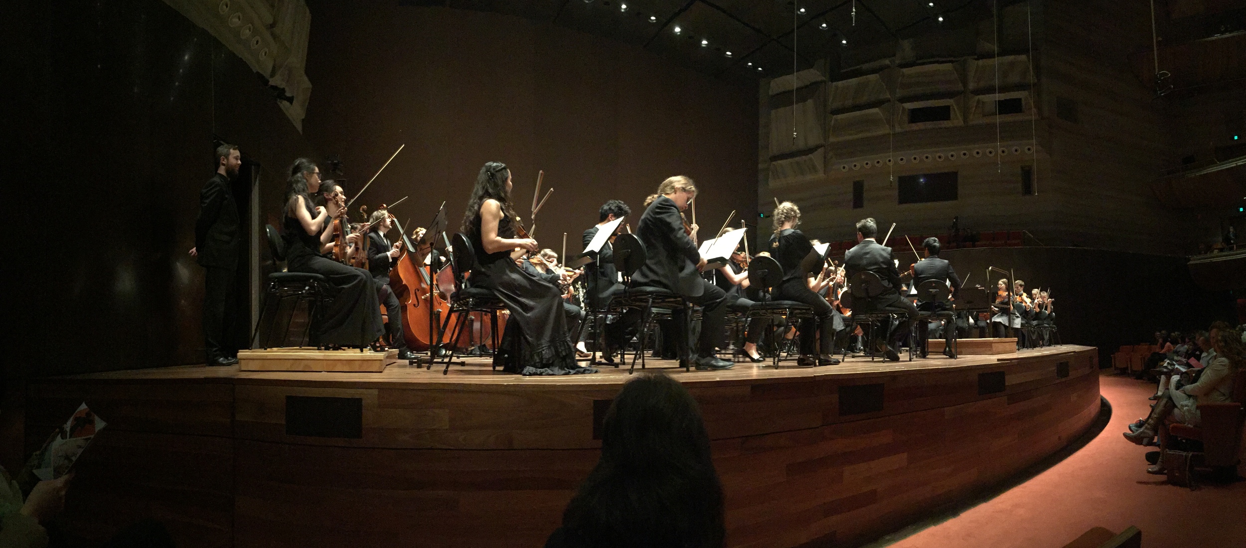 The Australian Youth Orchestra. Image: © Jasen Scott, 2016.