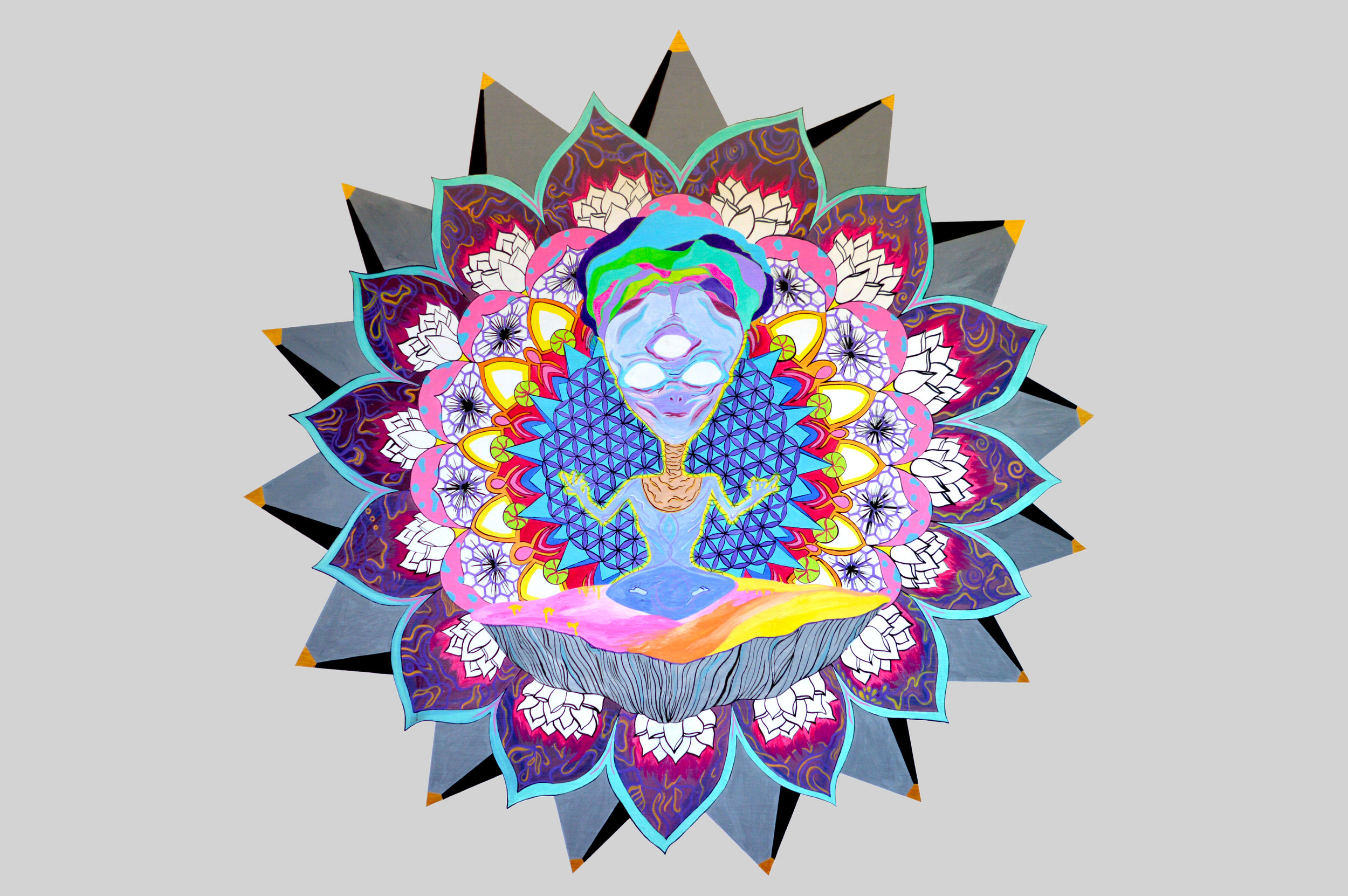 Finished wall mural. 6ft x 6ft. (Mysore, India)