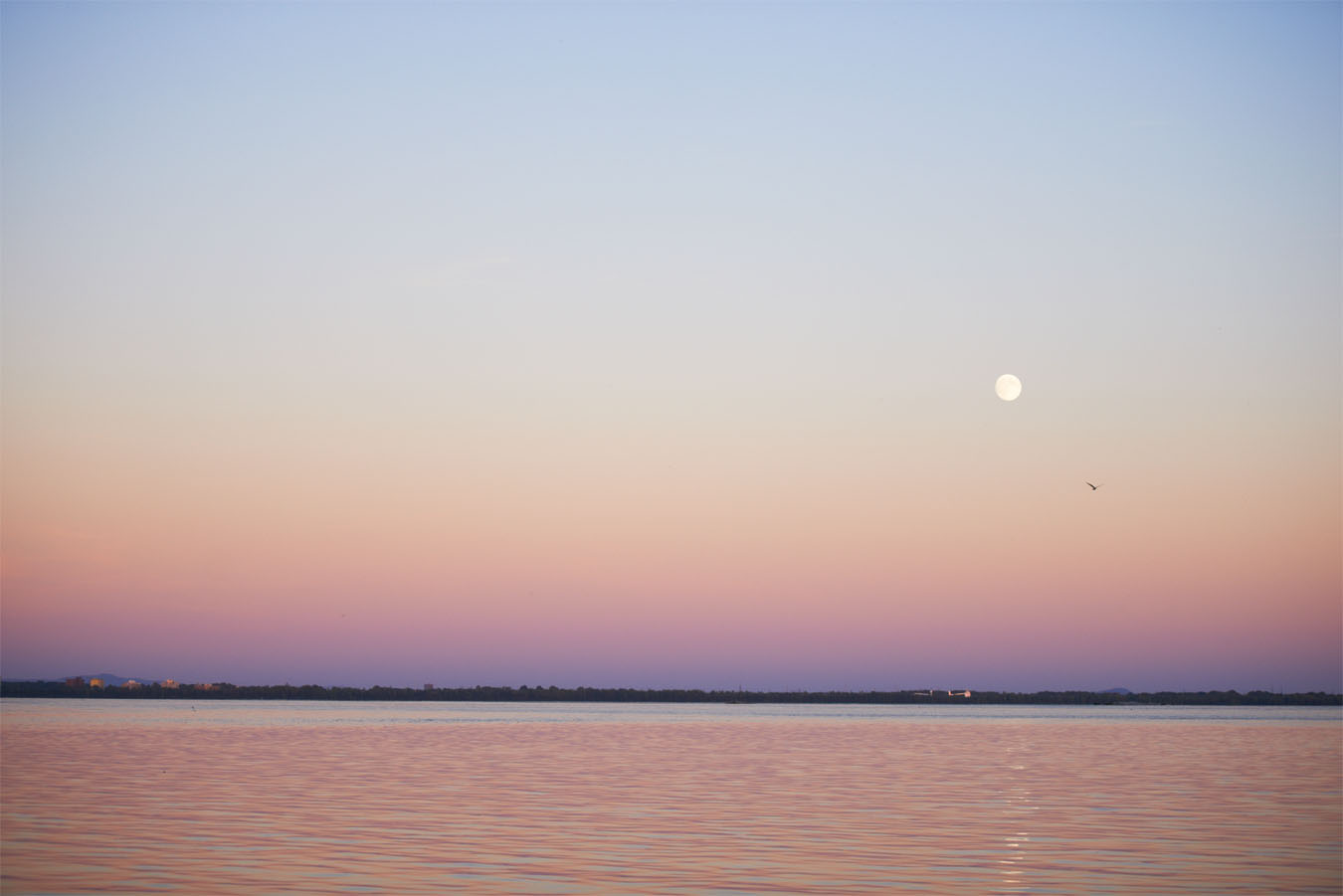 _N010469-1.jpg
