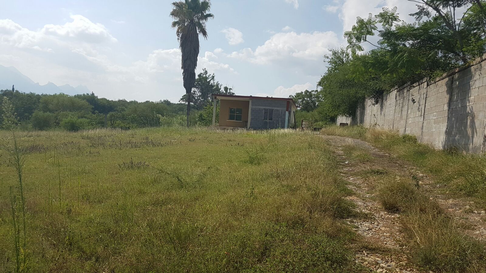 casita.jpeg