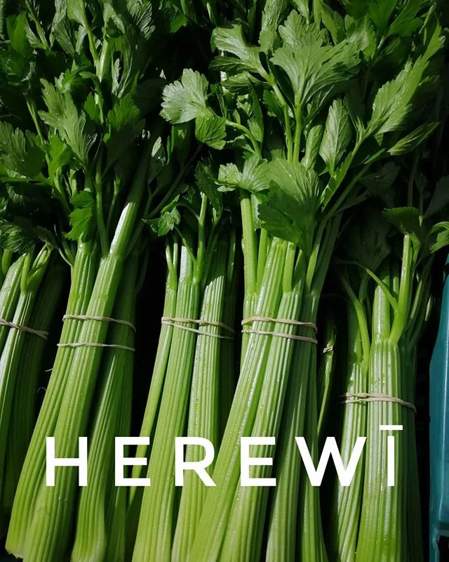 He pai ki a koe te Herewī?
#maorilanguageweek