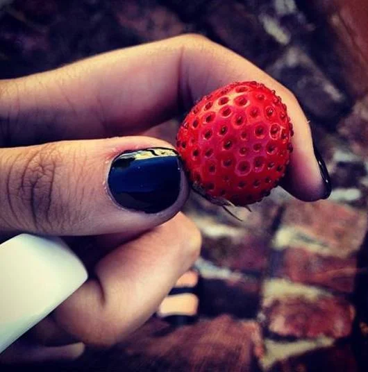 garden-strawberry.jpg
