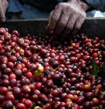 Buying fair trade coffee makes an enormous difference to the lives of producers. There are other ways we can spend our money to make a difference.