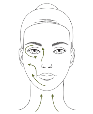 How to perform Ayurvedic face massage - massage direction.