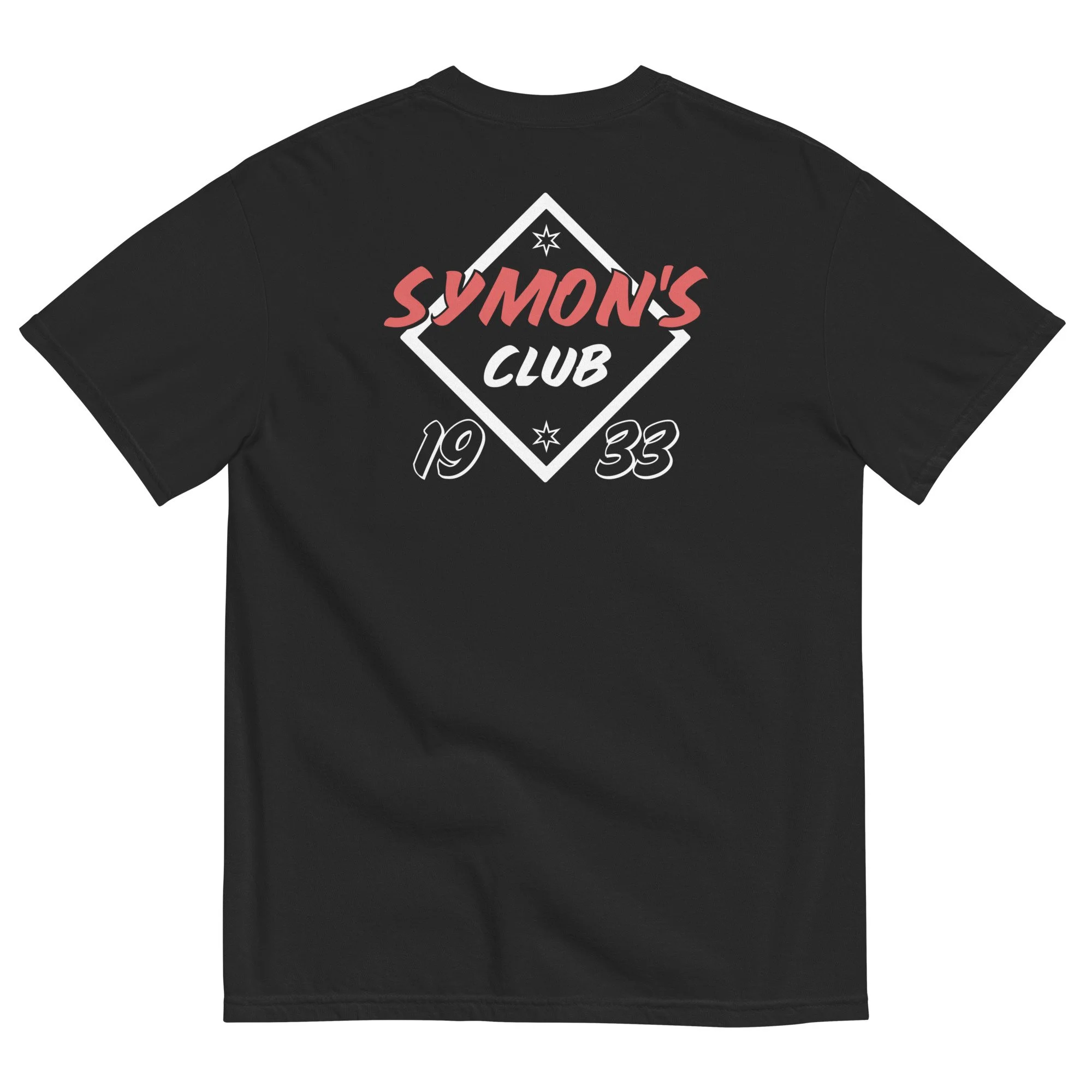 unisex-garment-dyed-heavyweight-t-shirt-black-back-6aa72f2d56733.jpg