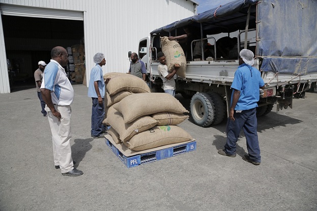 Farmers unloading cocoa bags at the Paradise Foods storage warehouse.