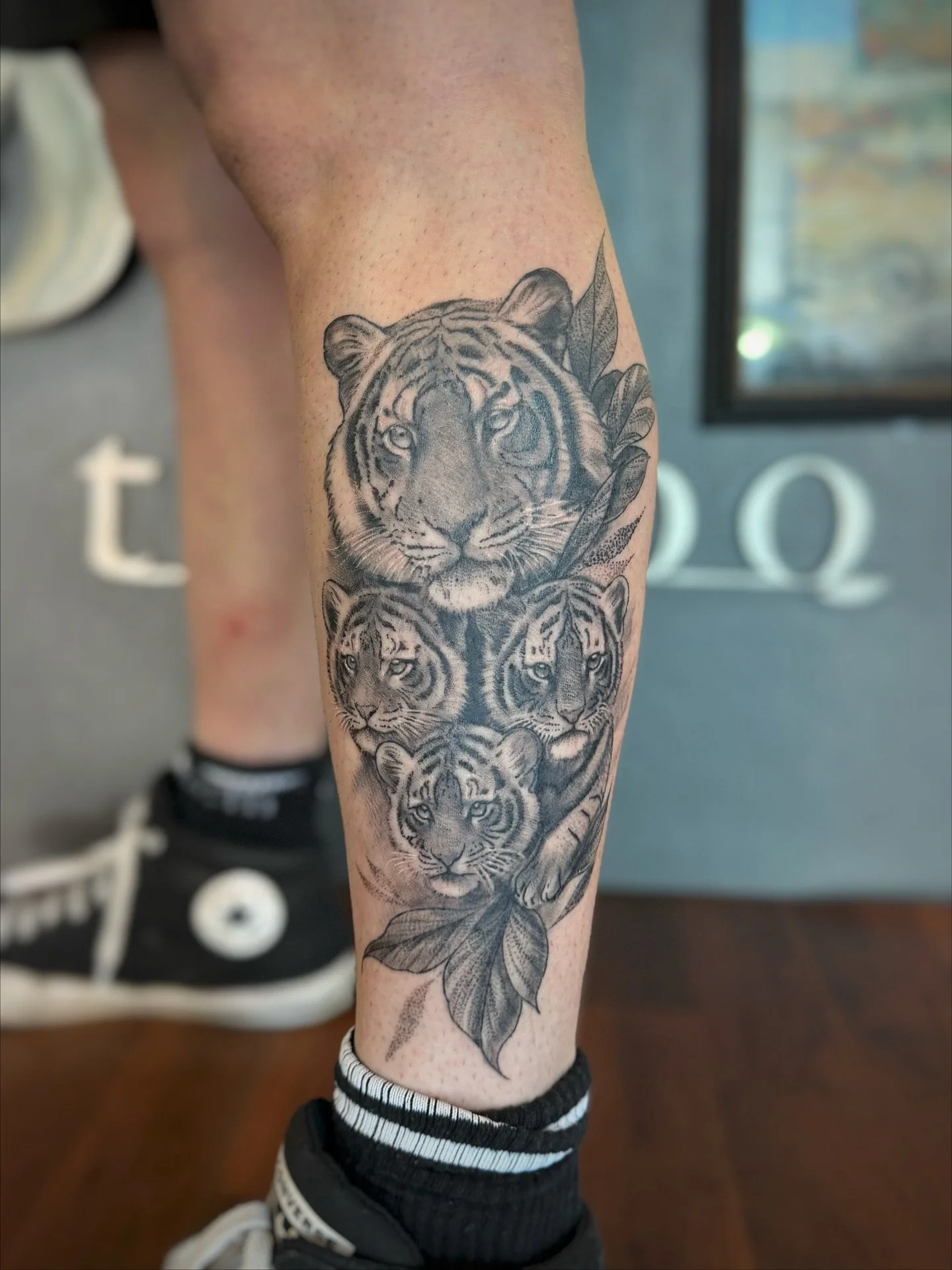 One week out vs fresh! 😮&zwj;💨👌Done by @bam.tattoo_ 

Contact the studio to book!!
📧 Info@swtattoostudio.com
📞(08)9791 9066
📱0461 554 950

#tat #tattoos #bngtattoo #realismtattoo #realismartist #cattattoos #tiger #tigertattoo #bunbury #local #l