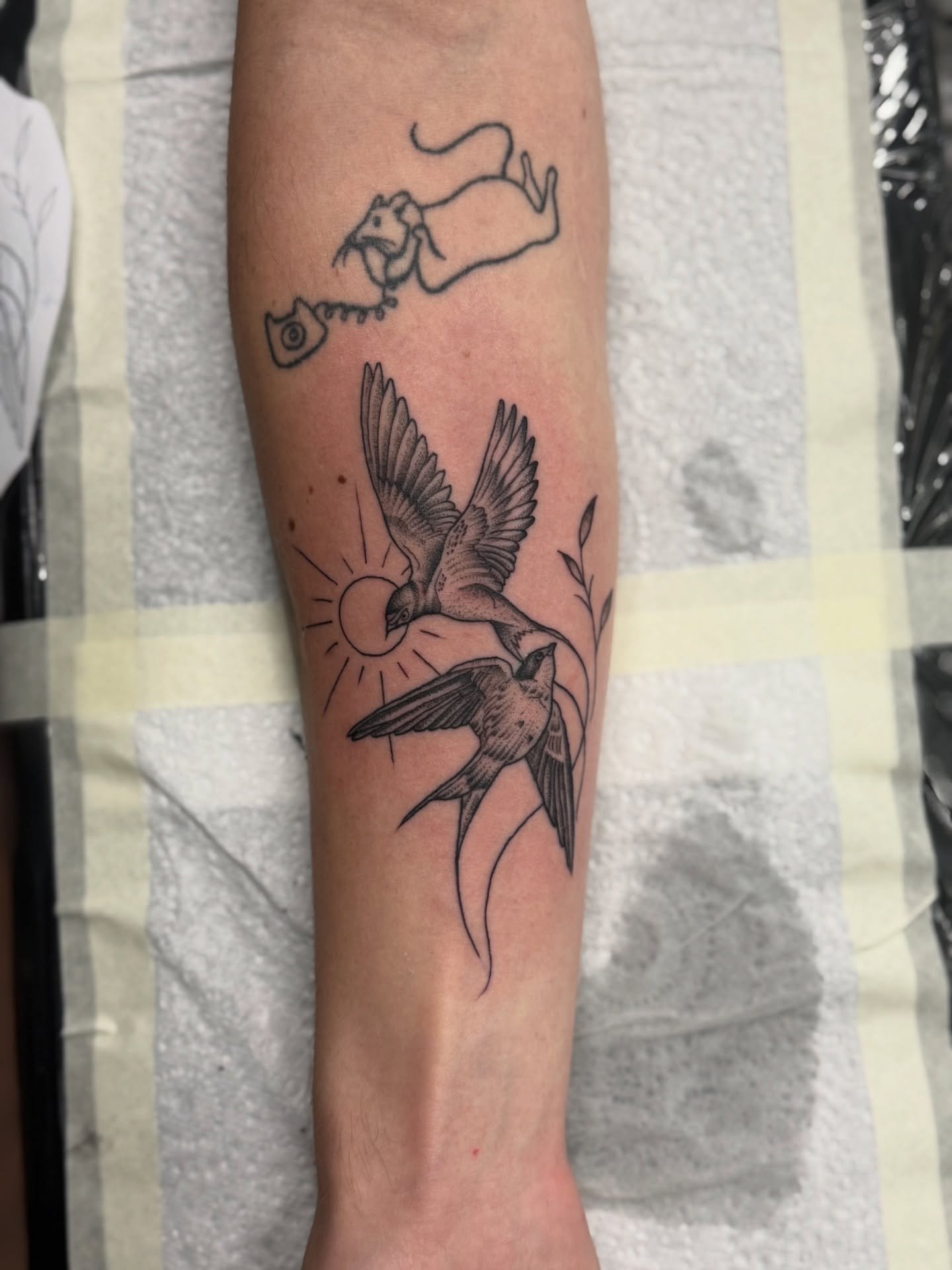 Stunningggg little swallows done by @laymo_tattoo earlier this week!

Contact the studio to organise a booking before the year is up!!
📧 info@swtattoostudio.com
📞 (08)9791 9066
📱 0461 554 950

#tat #tattoo #bngtattoo #blackandgrey #blackandgreytat