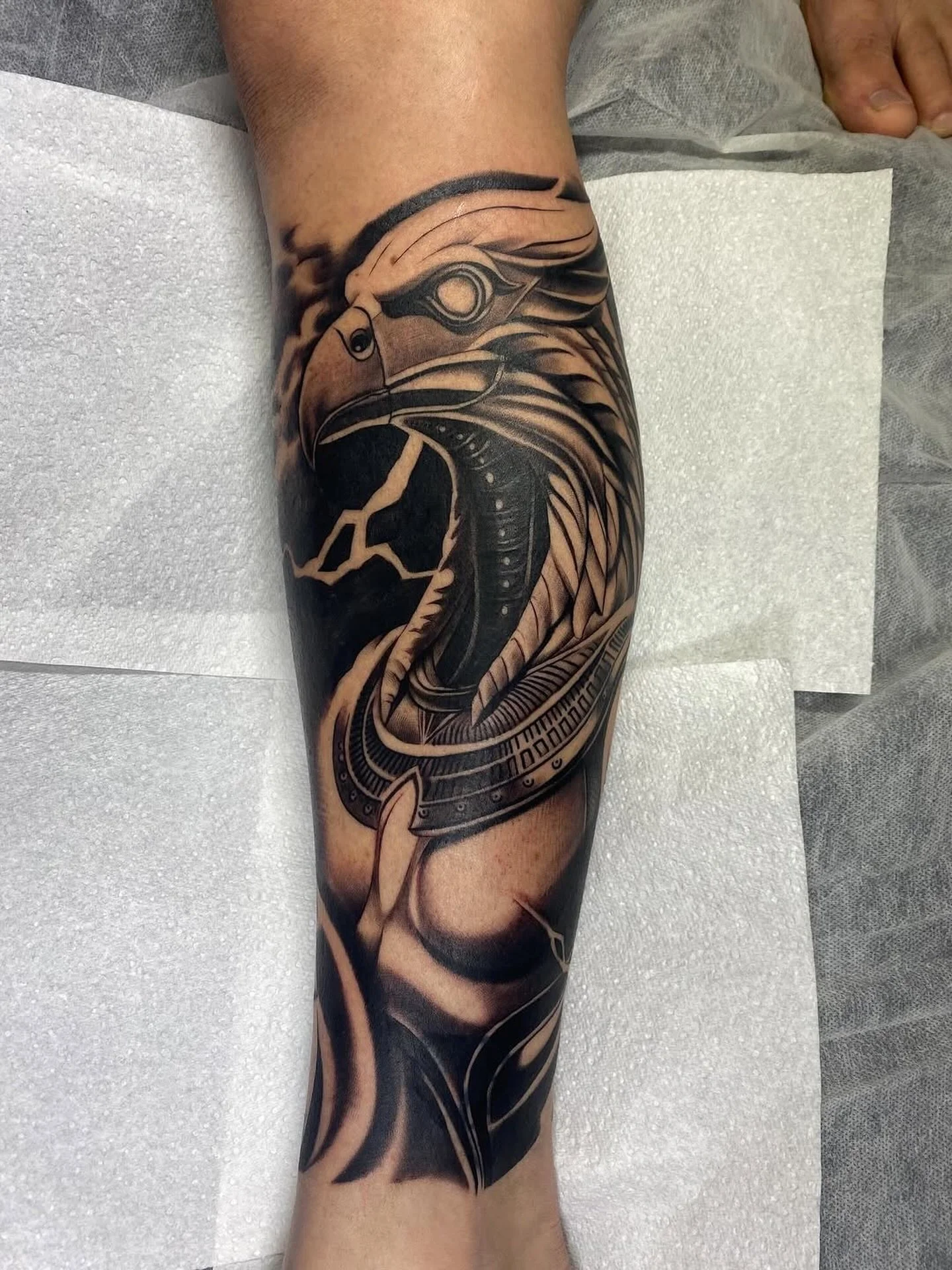 Done by @kadek_skinart 🔥🔥

Contact the studio to book!
📧 info@swtattoostudio.con
📞(08)9791 9066
📱 0461 554 950

#tatt #tattoo #realism #realismartist #bng #blackandgreytattoo #bngartists #bunbury #local #localartists #southwest #southwesttattooe