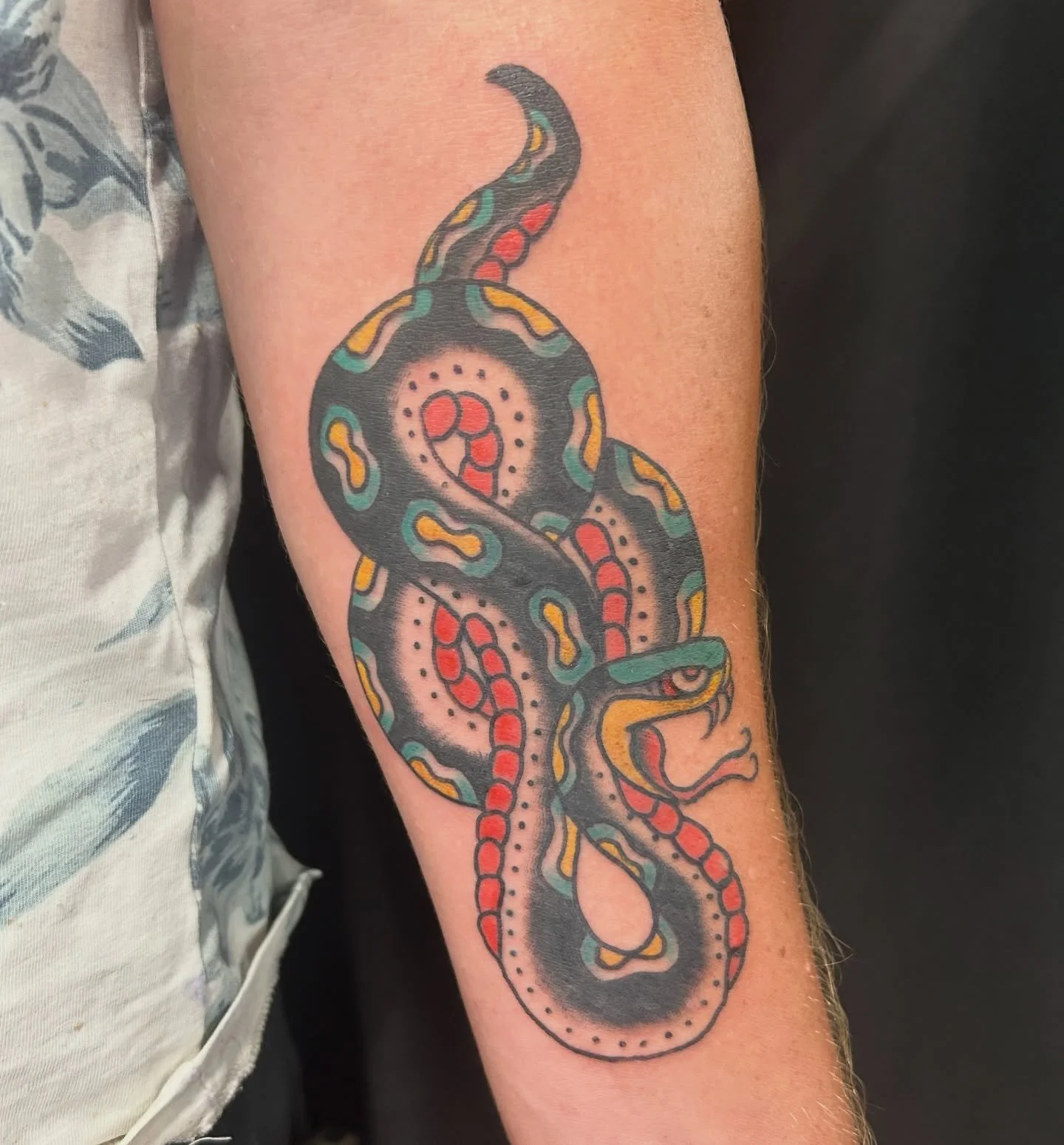 Epic classic traditional piece done by @emmet_tattoos 🐍
Done @southwesttattoostudio 

If you wanting to get a solid piece by Emmet, he works with us every Monday 😊

#trad #tradtionaltattoo #snake #boldwillhold #bunbury