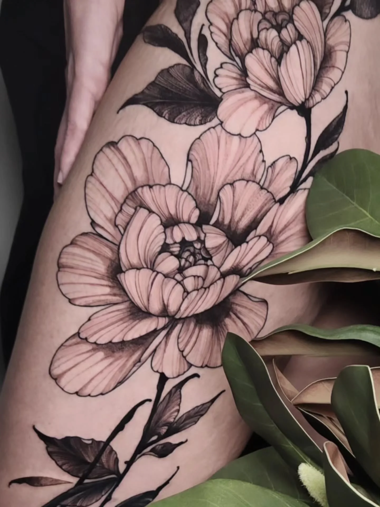 #repost by @lizhapi 
Florals for Suzie. This was deeply satisfying to Tattoo. Suzie had a strong reference photo but kindly trusted me to change some things and draw somthing custom to fit her beautiful leg. Could happily draw flowers every day

Cont