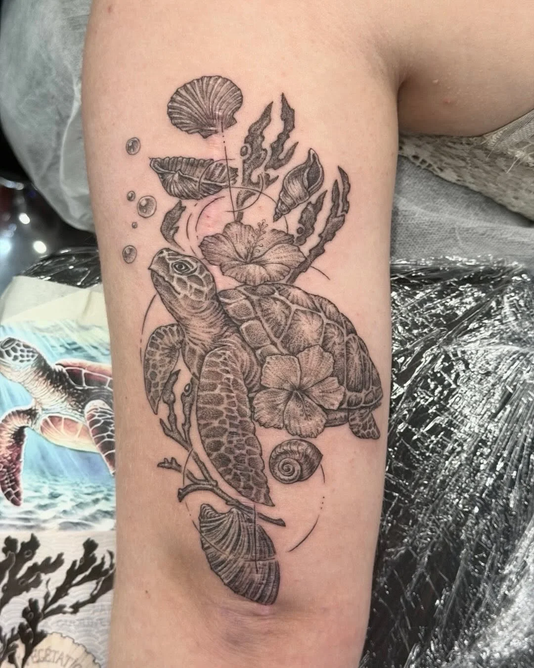 Scar coverup done by @theheavygauge 😮&zwj;💨🐢

Contact the studio to book with Toby!!
📧 info@swtattoostudio.com
📞 (08)9791 9066
📱 0461 554 950

#tattoo #southwesttattooers #bunbury #scarcoveruptattoo #turtletattoo