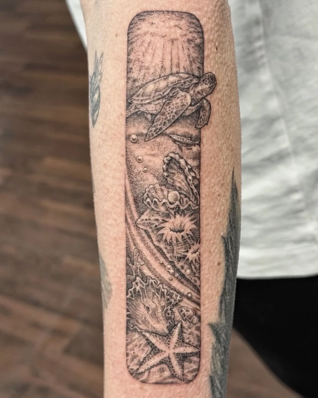 This beauty done by @theheavygauge 😮&zwj;💨🐢

Contact the studio or Toby directly to organise a booking!
📧 info@swtattoostudio.com
📞 (08)9791 9066
📱 0461 554 950

#tat #tattoo #southwesttattooers #finelinetattoo #oceantattoo