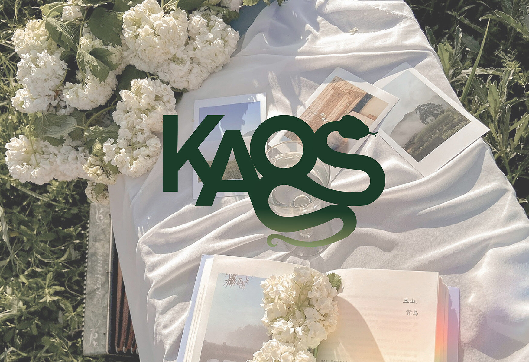 Kaos
