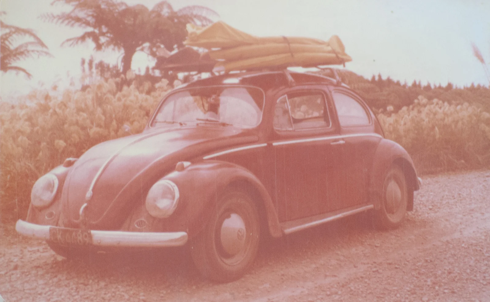 the old bug