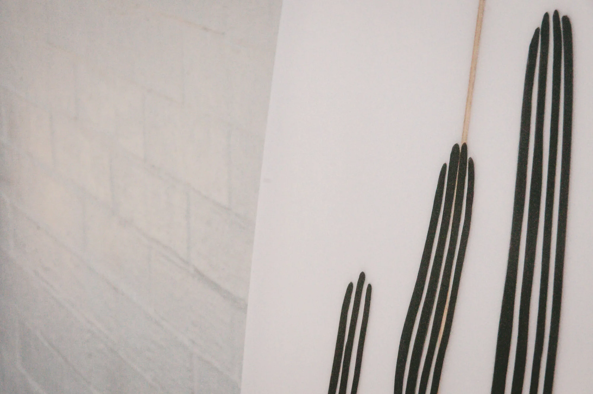 Munro-Surfboards_Crib-Life-Collab-Toucan-1-20.jpg