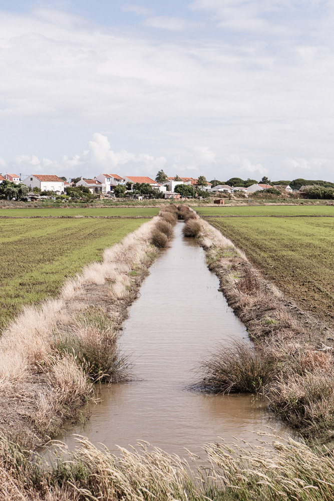 portugal_2016-8232.jpg