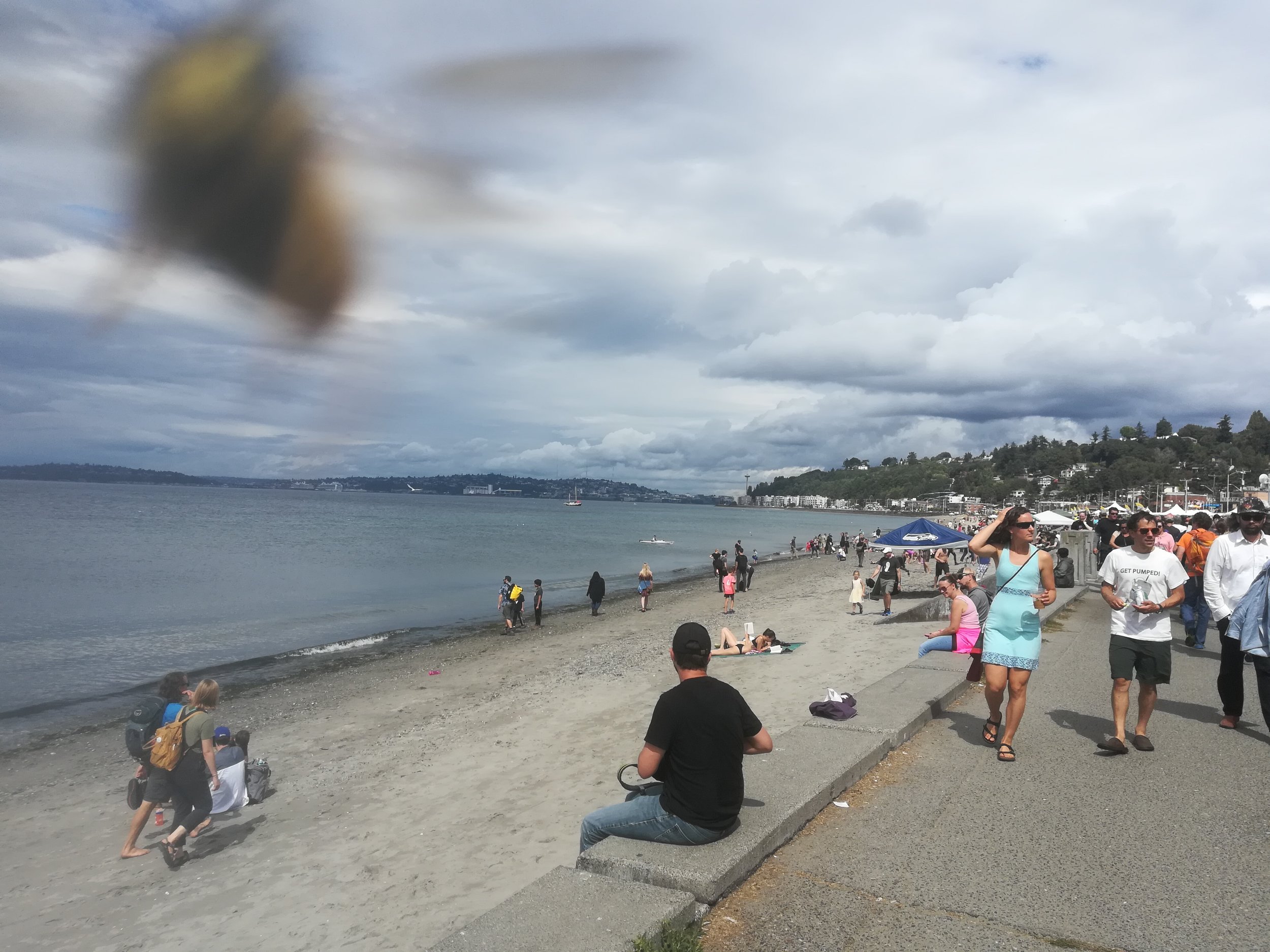 Alki Beeach