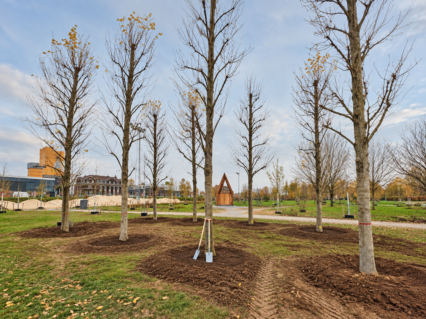 Herbstlicher Park mit Baumpflanzungen und Pavillon.png