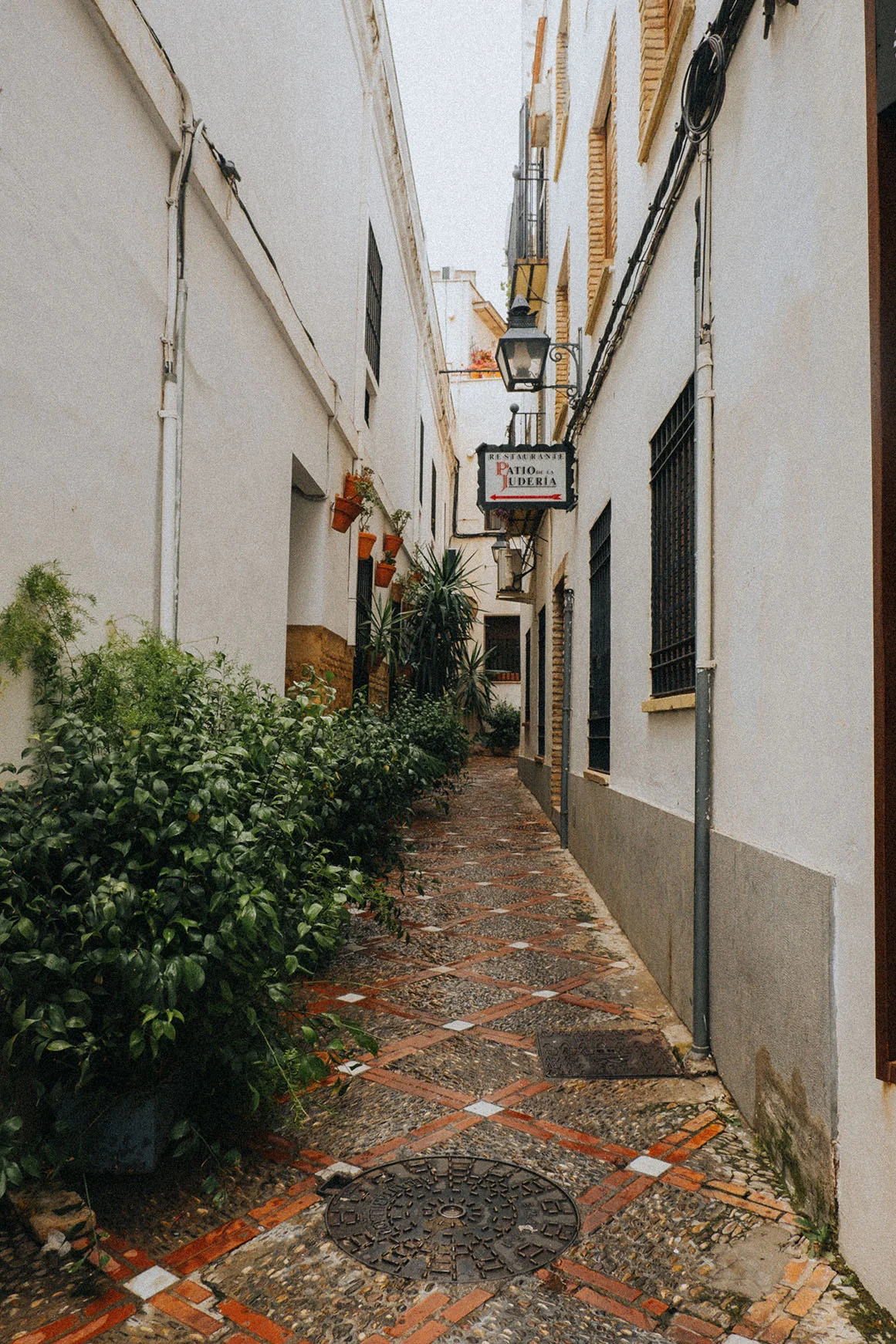 Montoro_rd15.jpg
