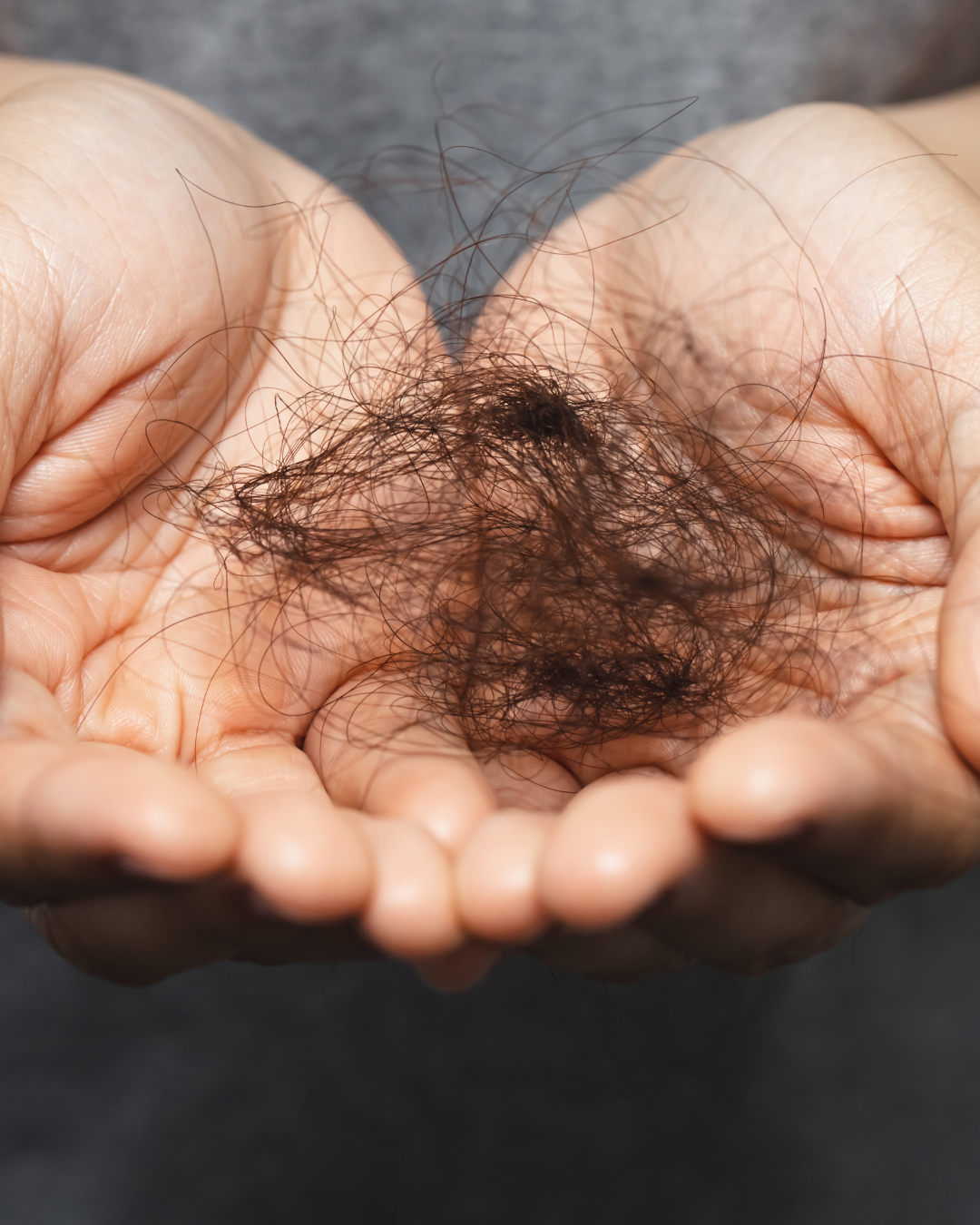 Thinning Hair? Discover How Cocco Salon’s Hair Reset and Regrowth Programme Helps Women Restore Strength, Density and Confidence