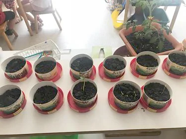 SeedStarter.jpg