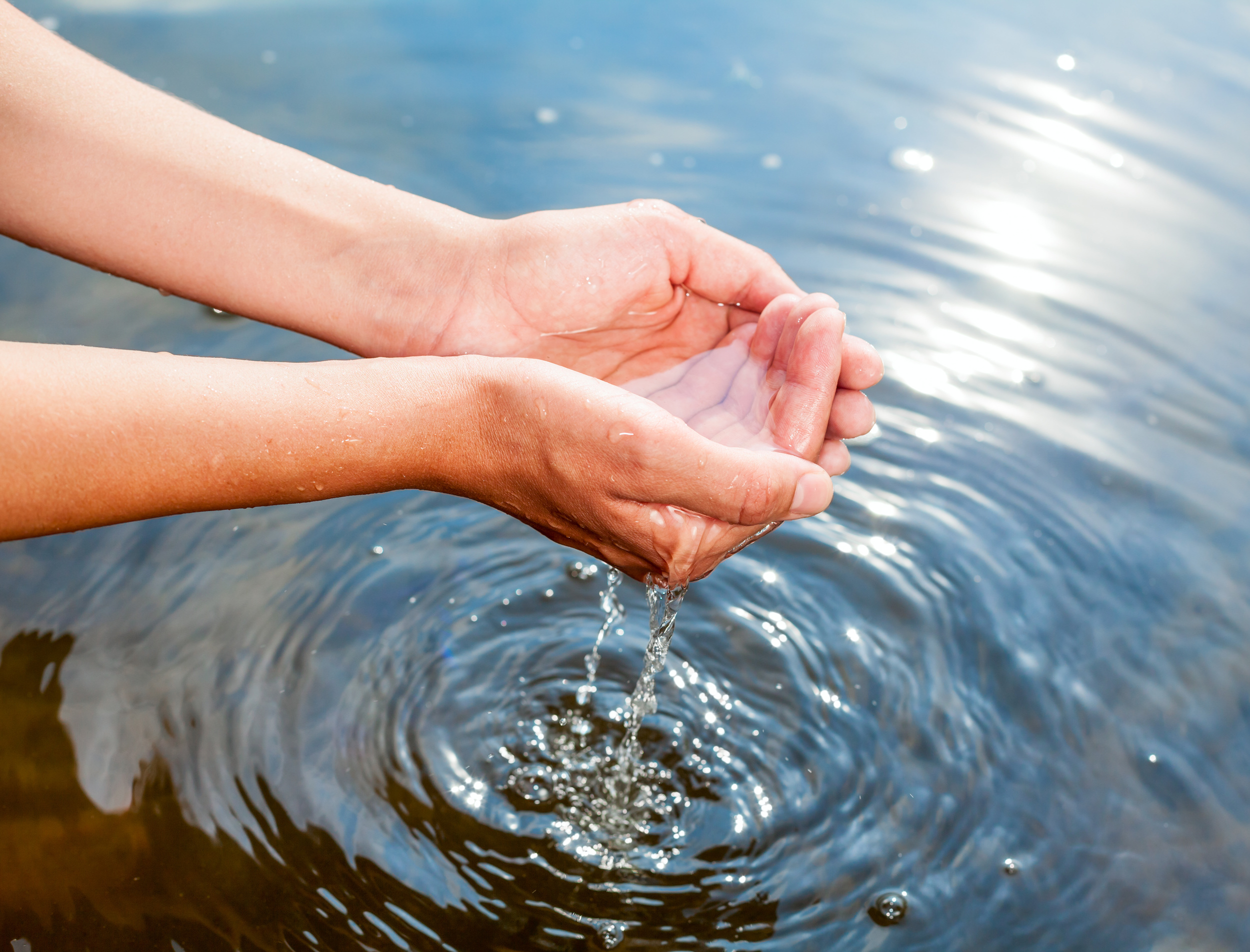 Call To Action: Save the Lake Partner Program!