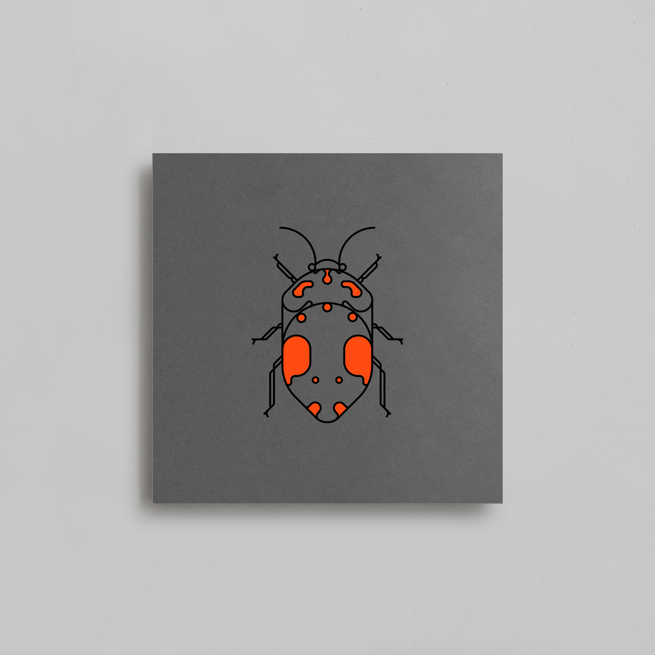  $30 + SHIPPING COLEOPTERA BEETLES | NEON ORANGE 