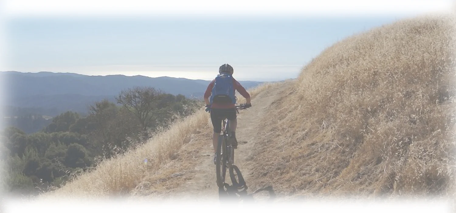 DSC00958 (resized) feathered 1500wide.jpeg