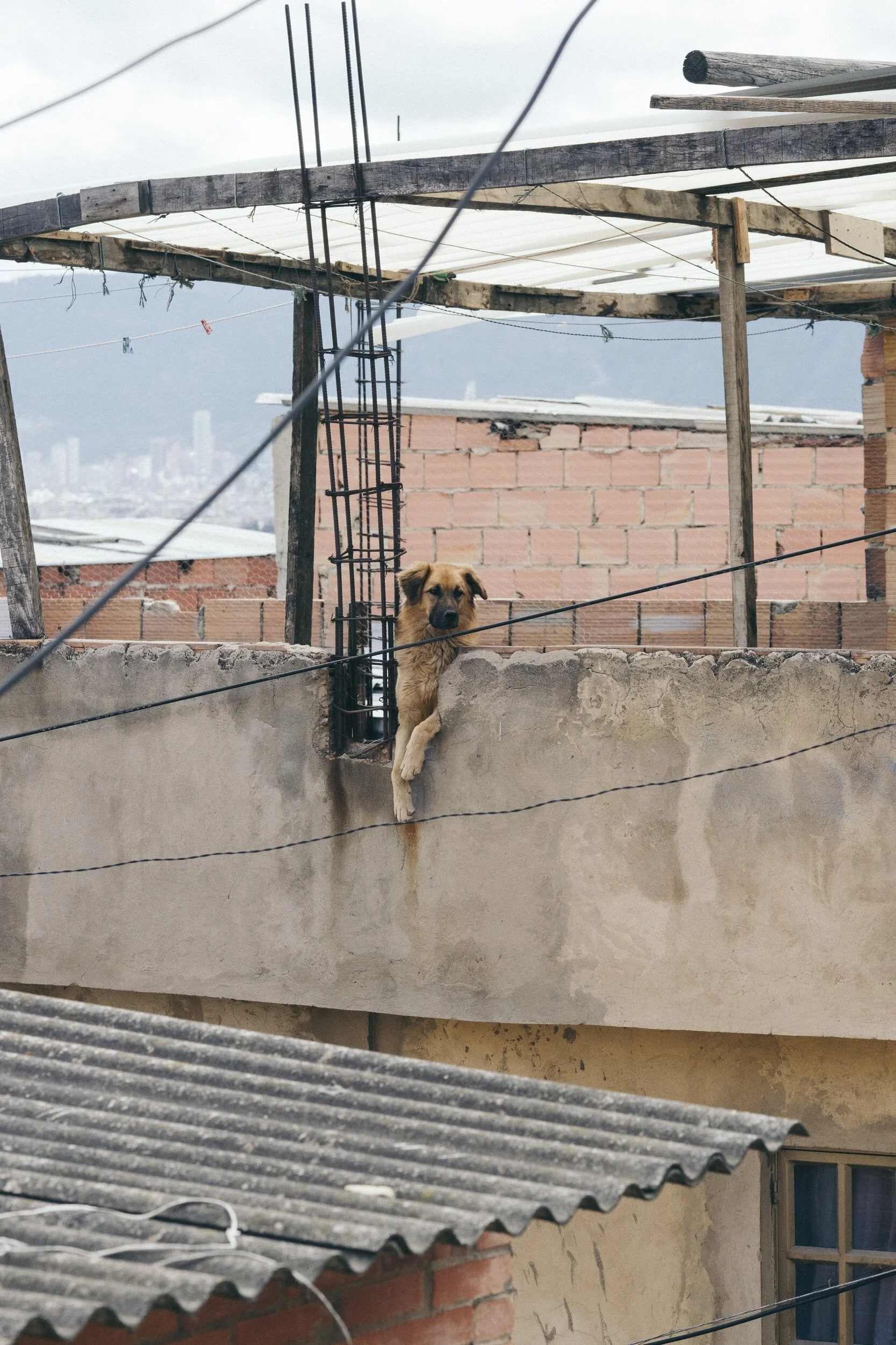 The Case for Degrowth with Latin American and Indigenous Perspectives