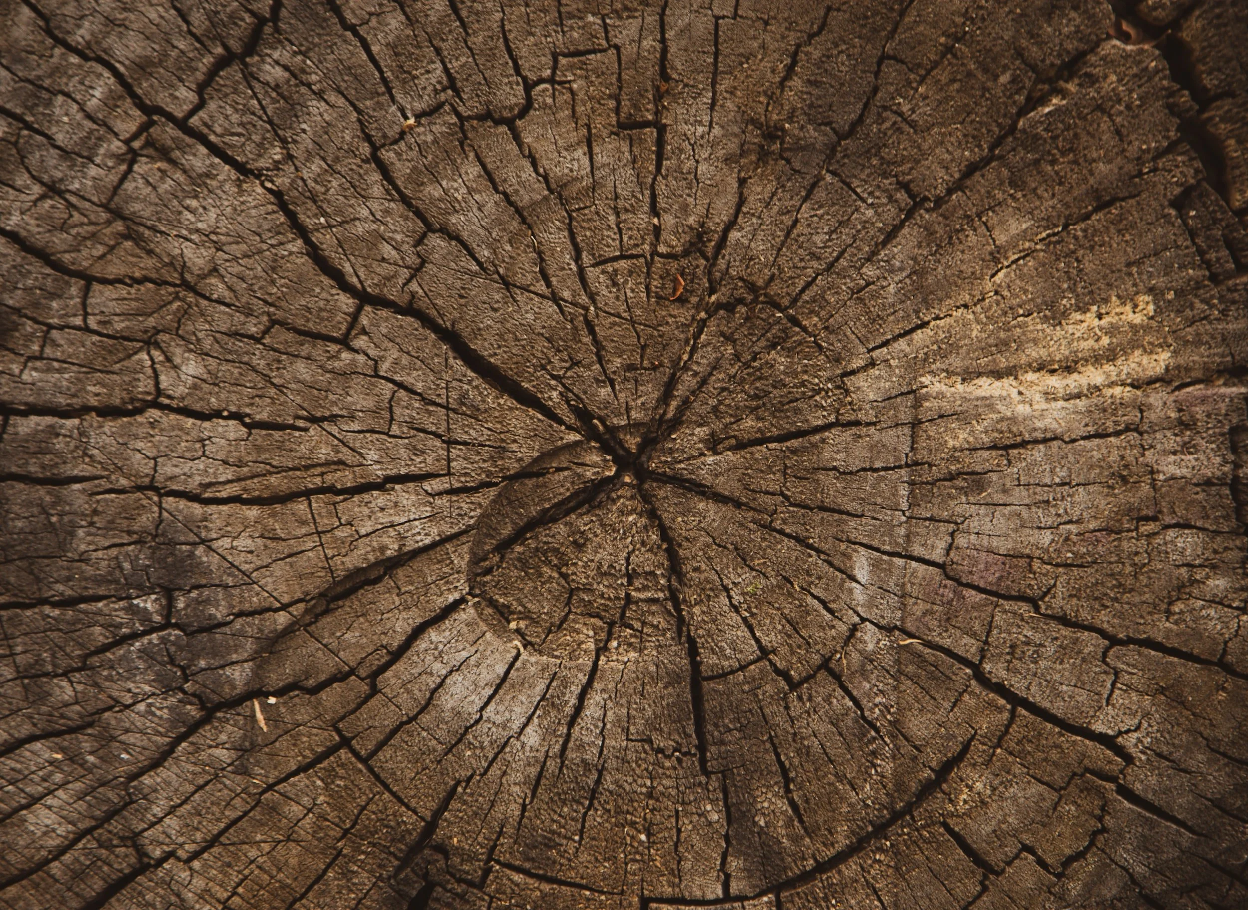 Podcasts from Environmental History Resources 