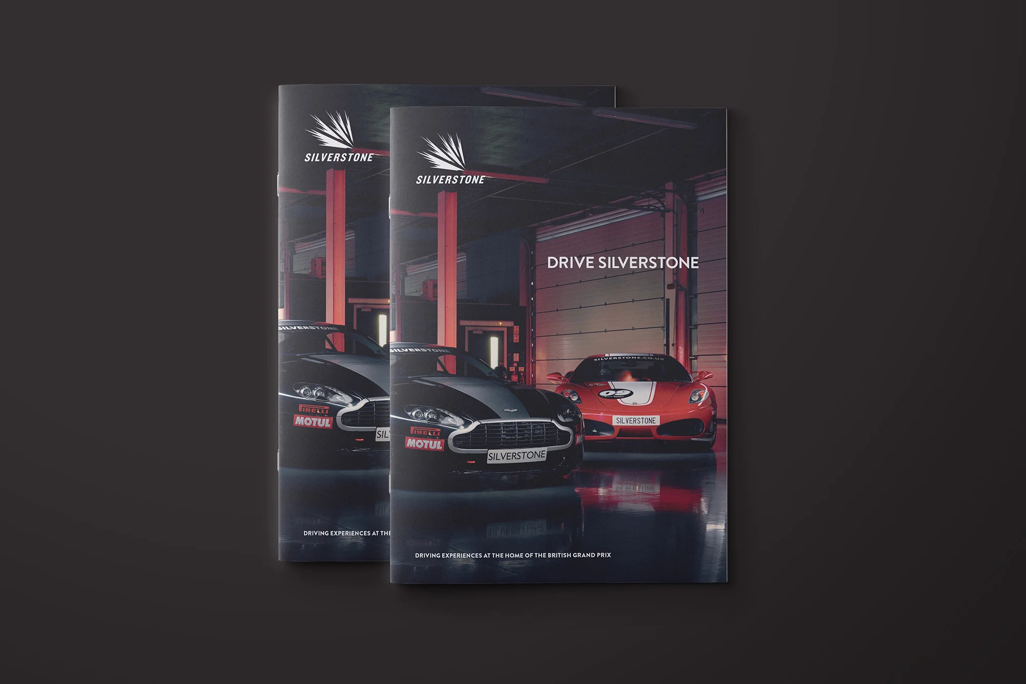 Silverstone_CaseStudies_1.jpg