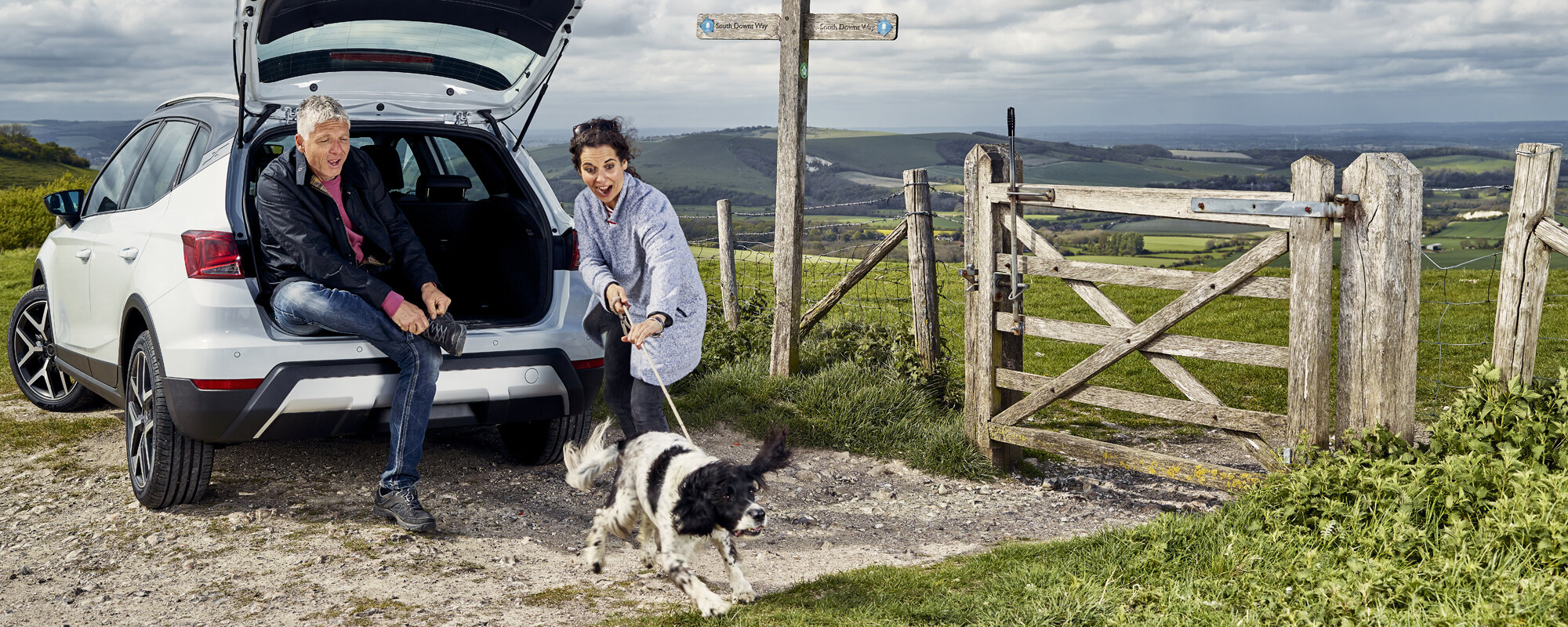 Mosaic_Banner_Motability_Dog_Walkers.jpg