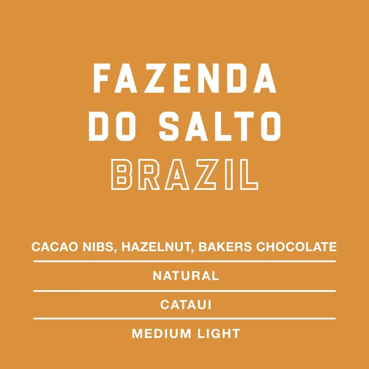 Fazenda-Do-Salto-Brazil-Single-Origin-Coffee.jpg