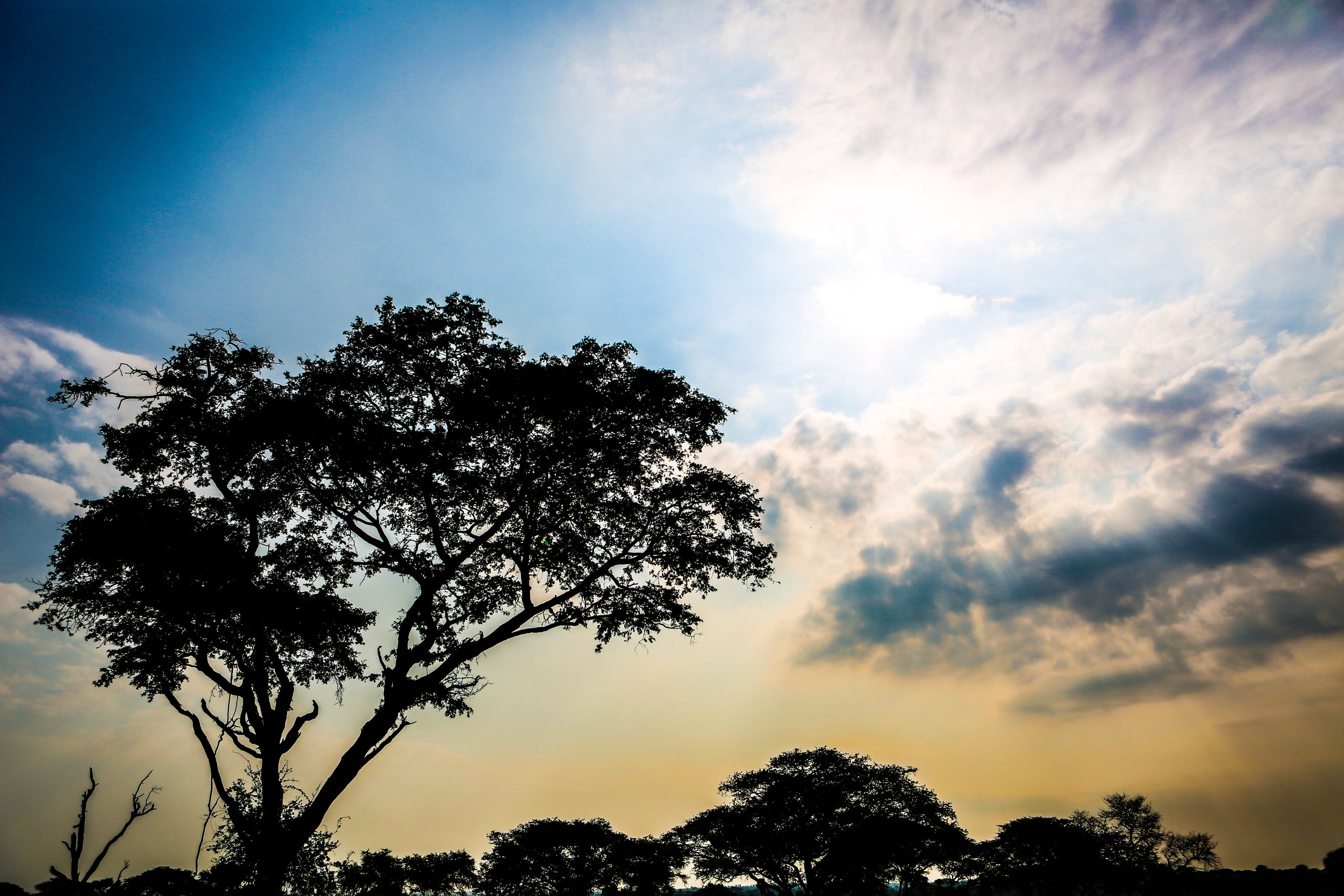 Everything has Changed