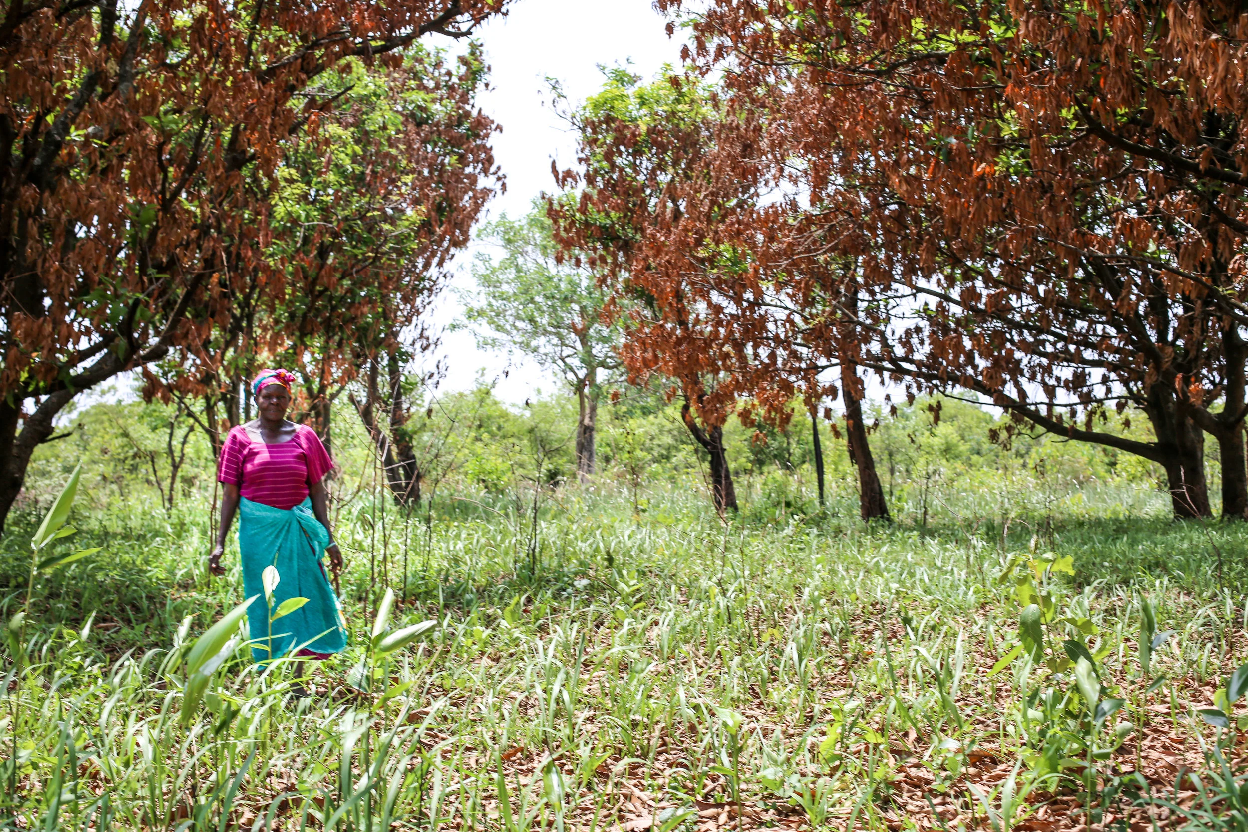 Kelementina is standing at her land boundary marking. She asked to take this photo because of how proud she is of her home.