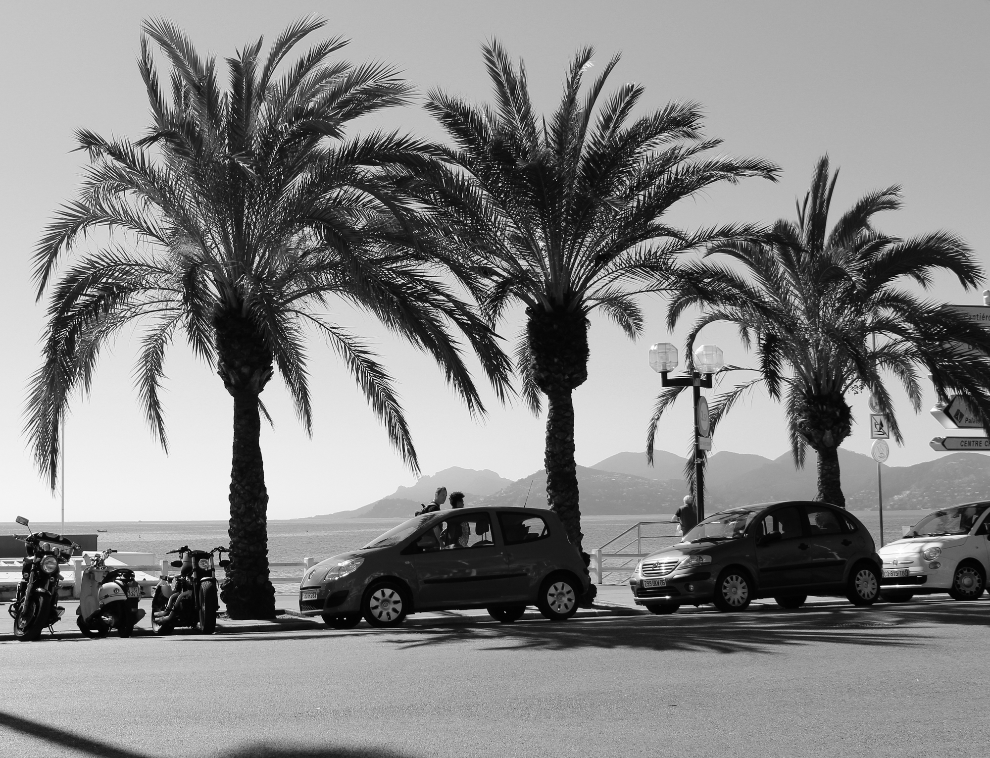 Black and white photo of a coastal scene with three palm trees, parked cars, and scooters along the street, mountains in the background, and a body of water visible behind the trees.