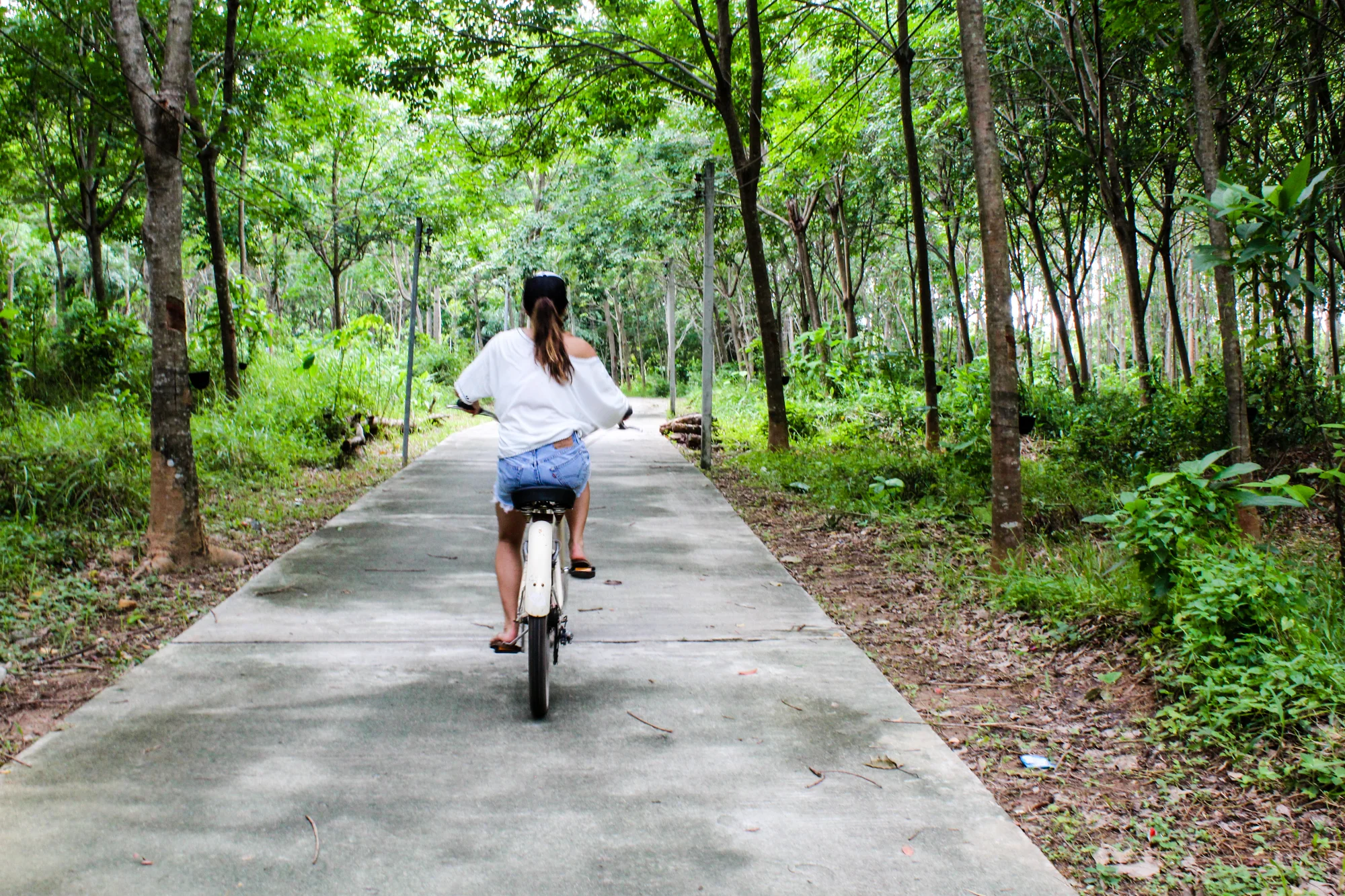 Person riding a bicycle on a paved trail surrounded by green trees and lush vegetation.