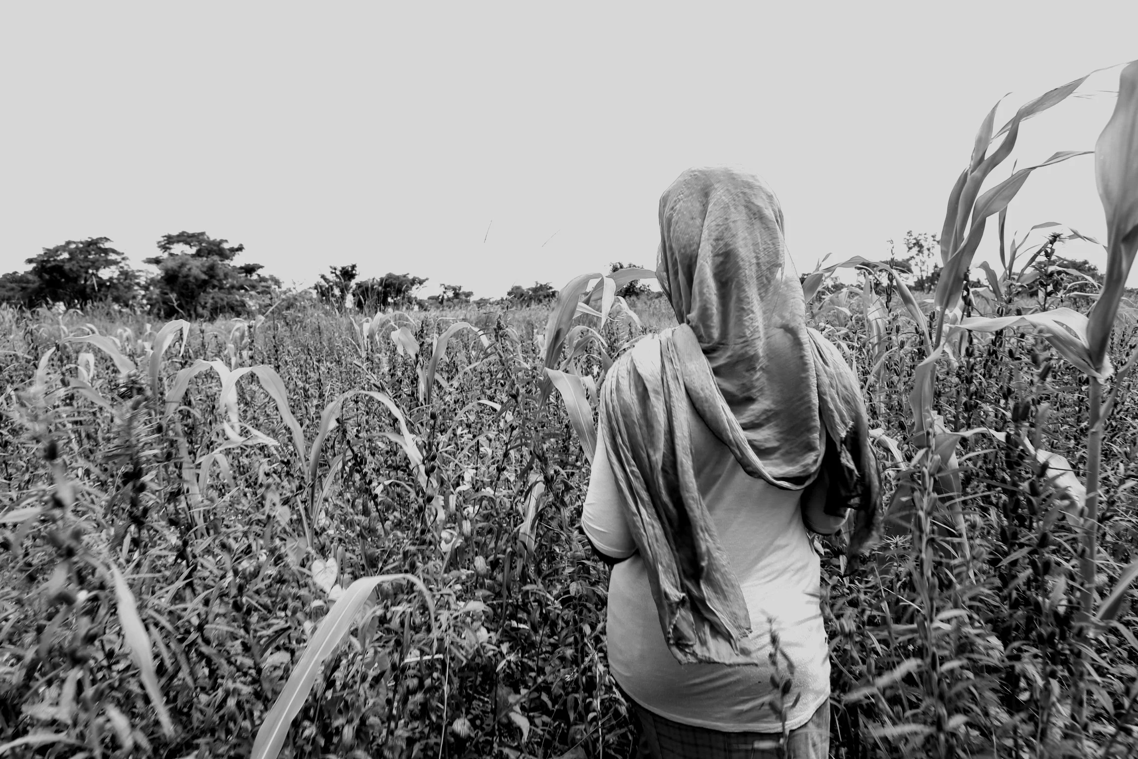 Lost, but kinda sorta found-ish