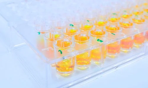 Plastic products medical uses.jpg